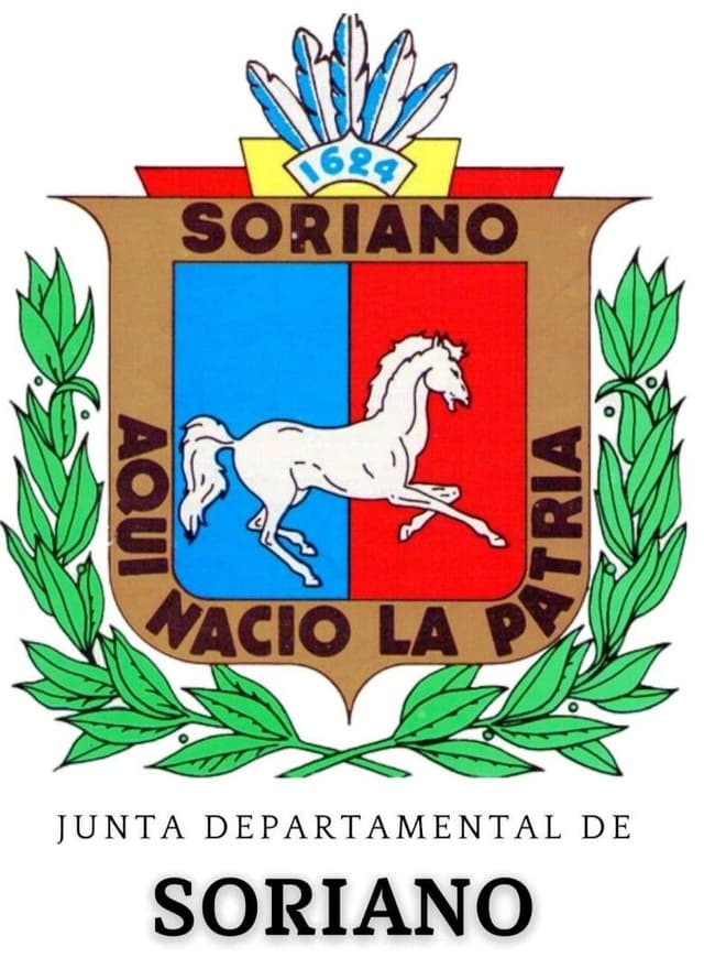 Comisión de Asuntos Internos